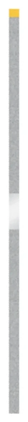Pasek diamentowy pełny jednostronny 3,7 mm · MDT